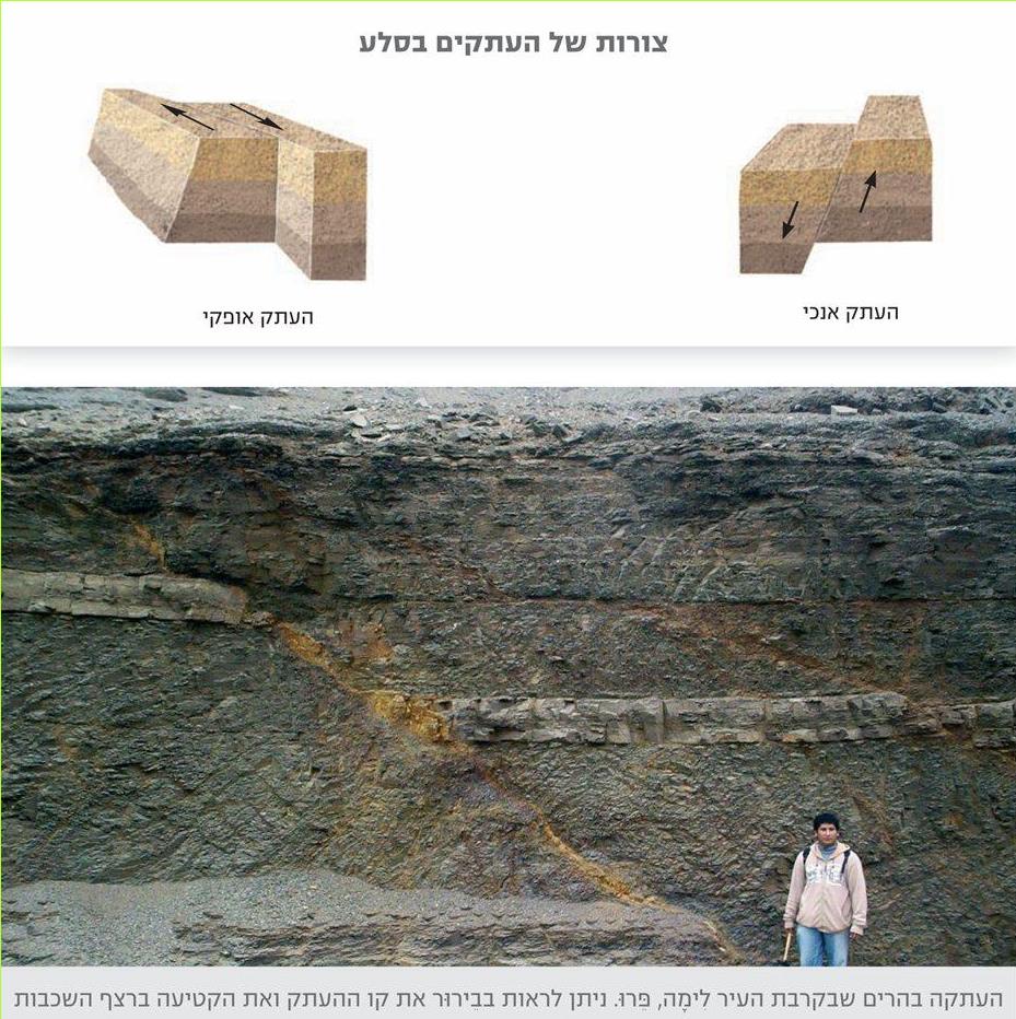 צורות של העתקים בסלע